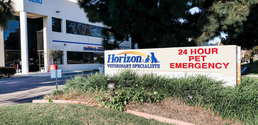 Horizon Veterinary Specialists photo