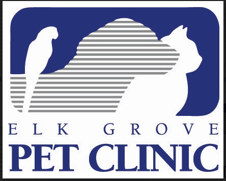 Elk Grove Pet Clinic photo