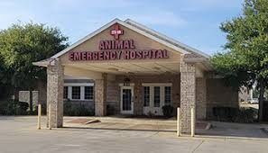 Airport Freeway Animal Emergency Hospital photo
