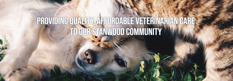 Affordable Pet Care photo