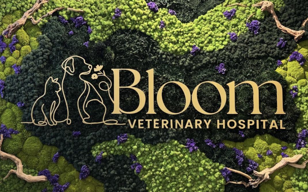 Bloom Veterinary Hospital photo
