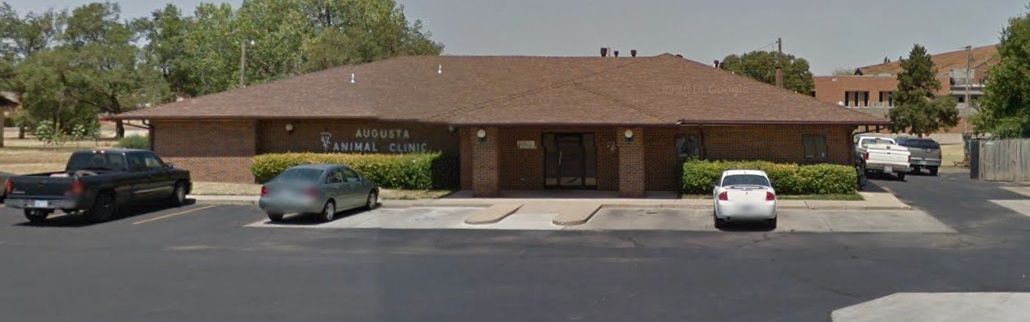 Augusta Animal Clinic photo