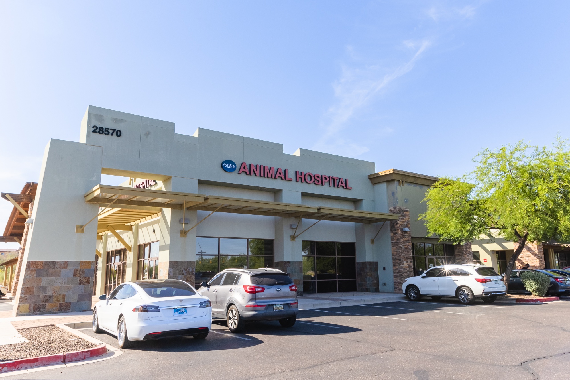 Vistancia Animal Hospital photo