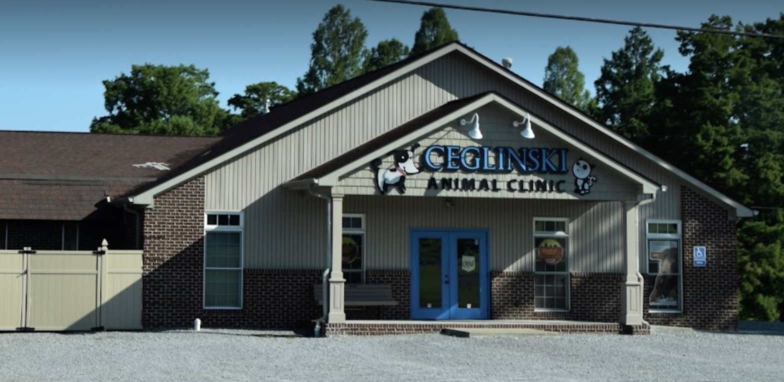 Ceglinski Animal Clinic photo