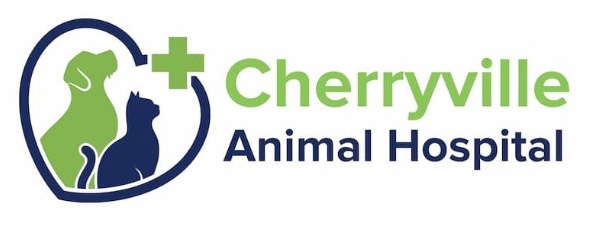 Cherryville Animal Hospital photo
