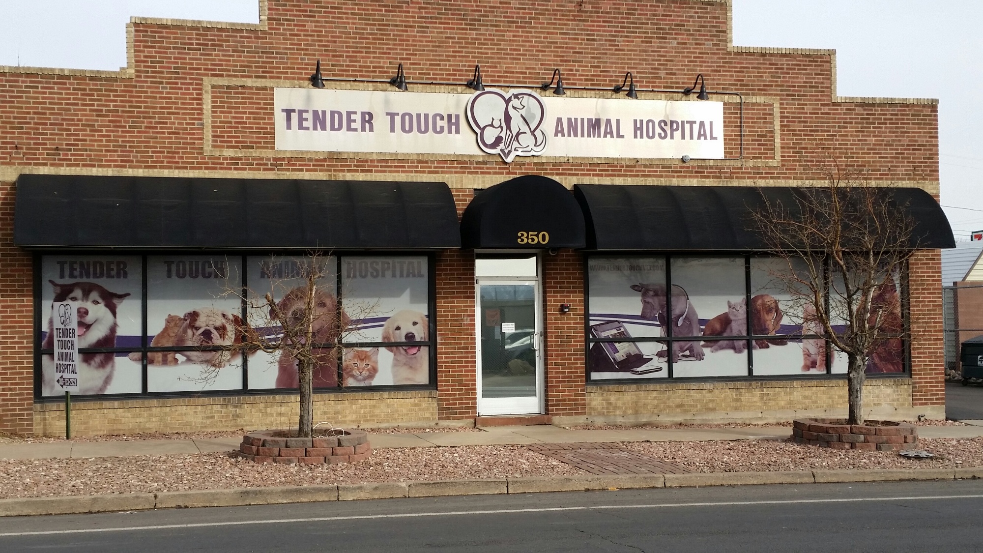 Tender Touch Animal Hospital photo