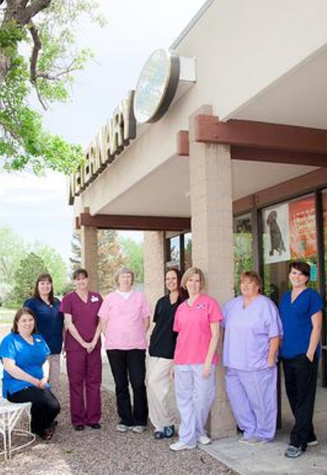 Mission Viejo Veterinary Hospital photo