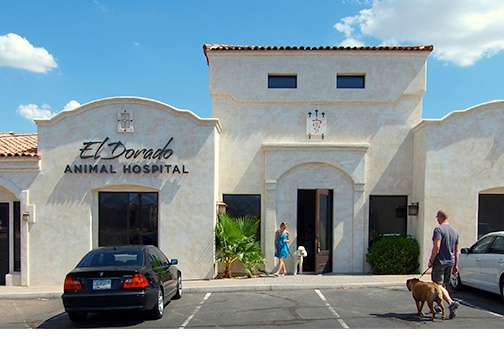 El Dorado Animal Hospital photo