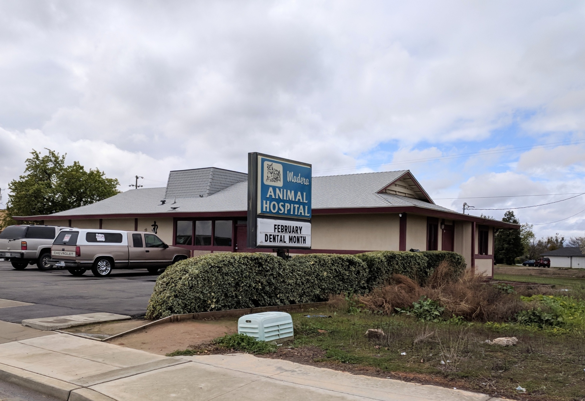 Madera Animal Hospital photo