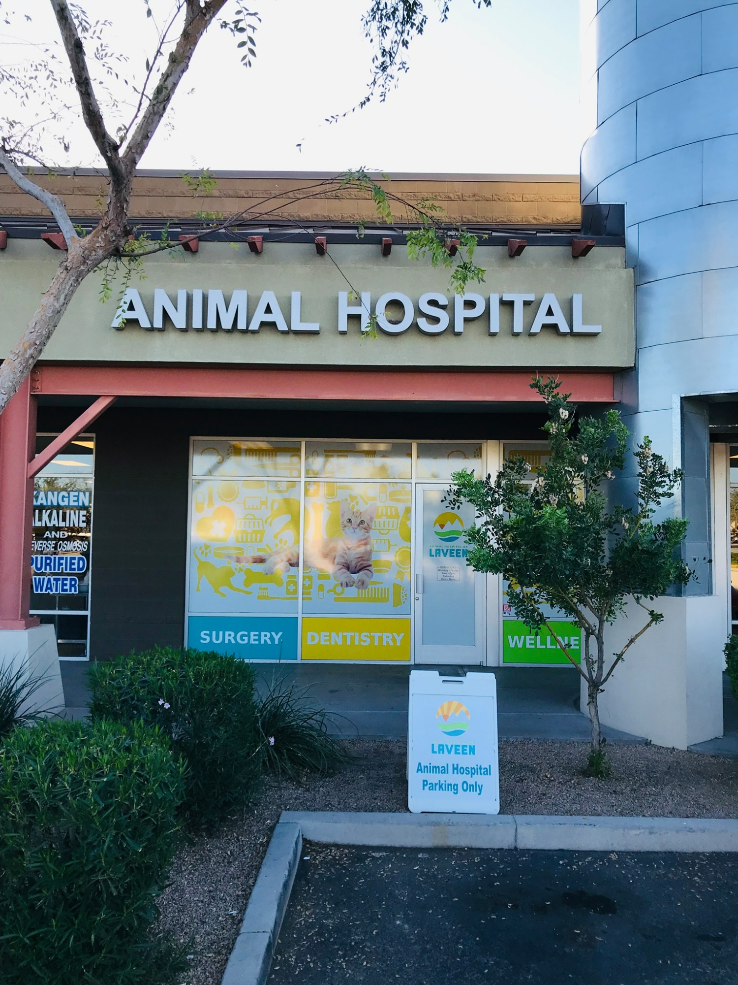 Animal Hospital of Laveen photo