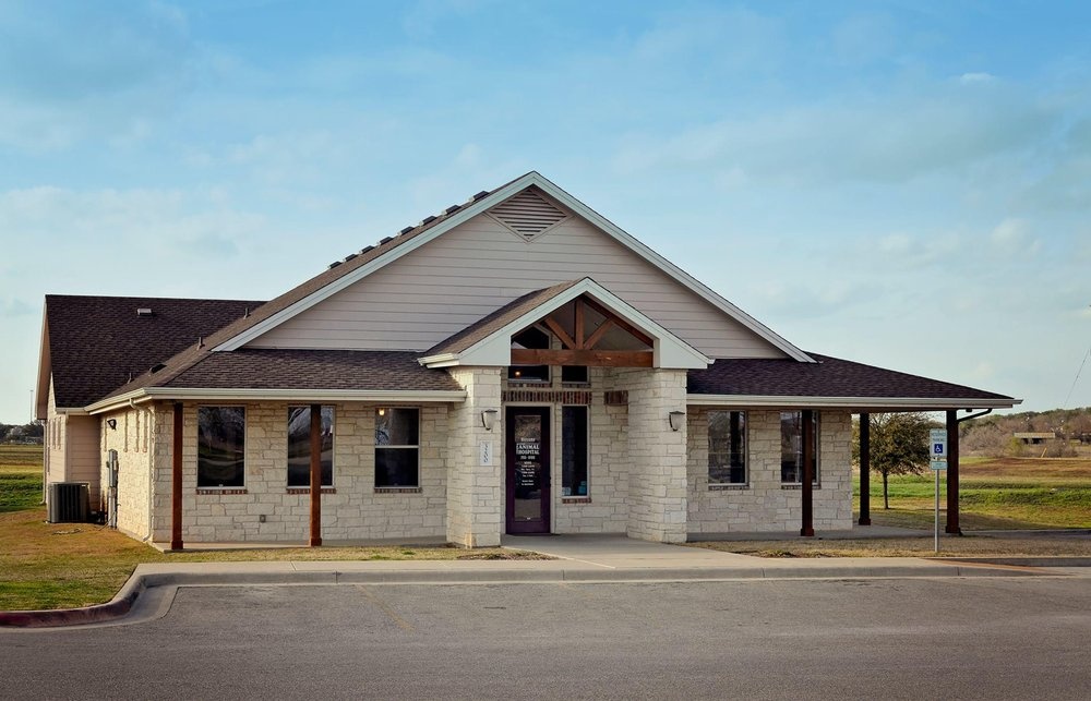 Cornerstone Animal Hospital photo