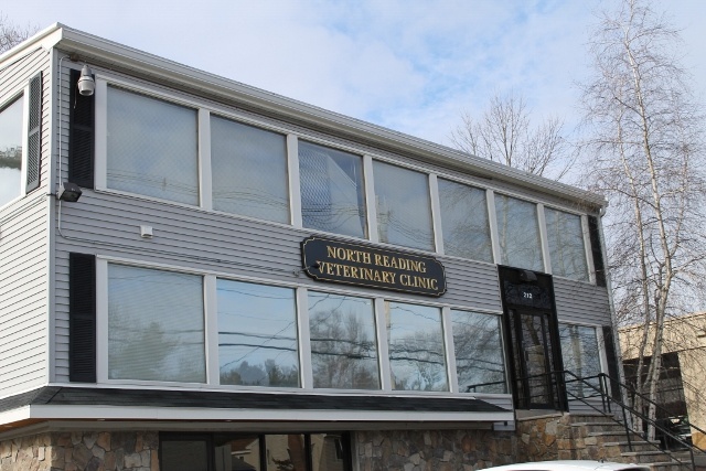  North Reading Veterinary Clinic photo