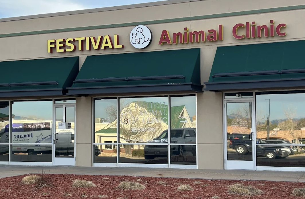 Festival Animal Clinic photo
