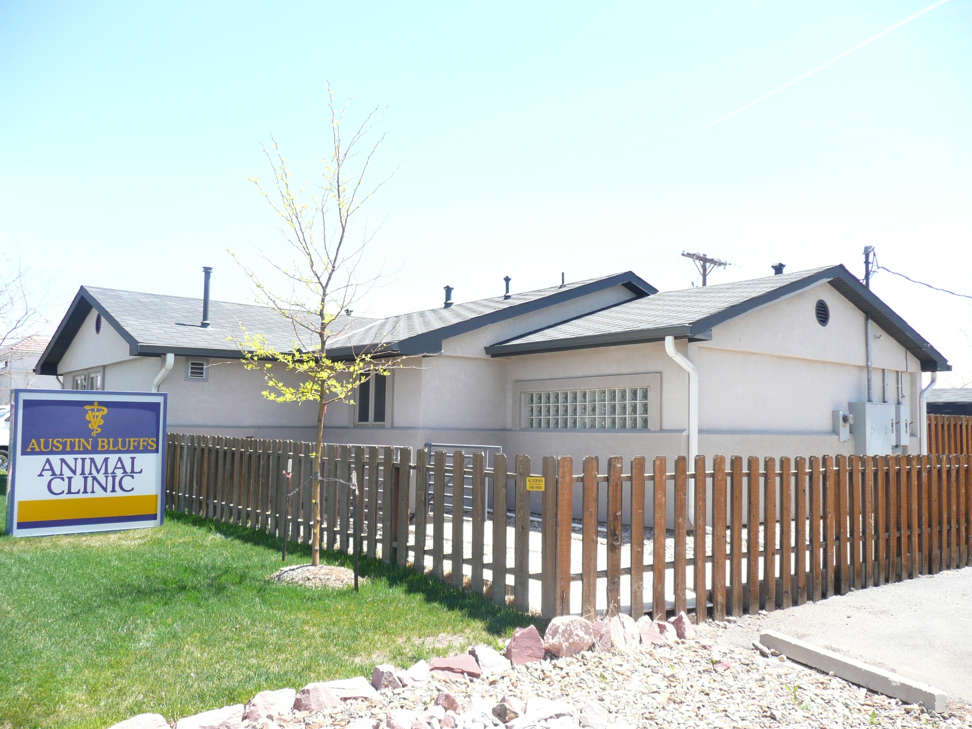 Austin Bluffs Animal Clinic photo