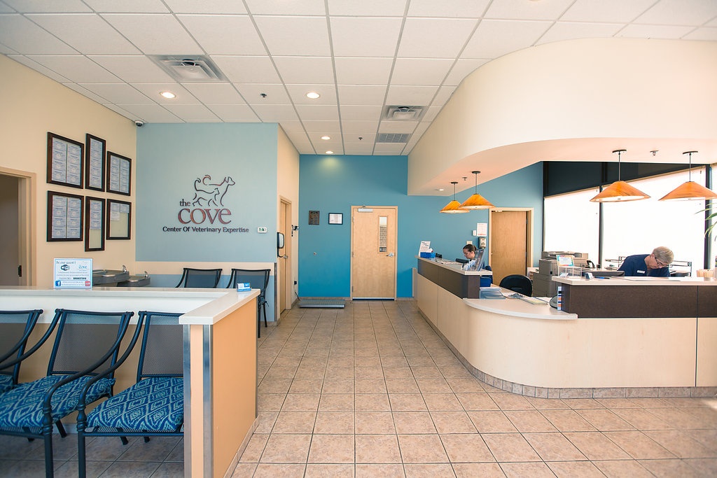 The COVE- Center of Veterinary Expertise photo