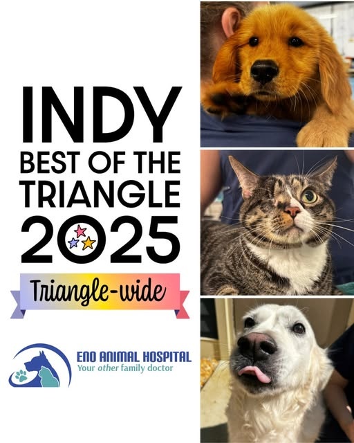 Eno Animal Hospital photo
