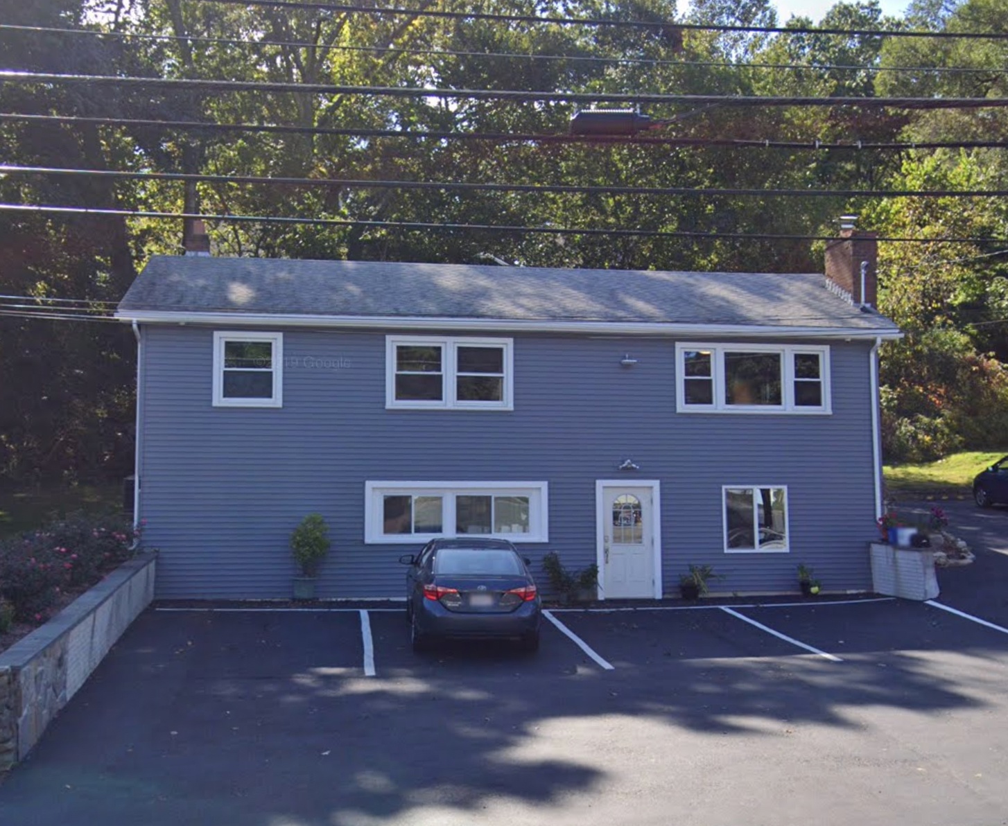 Burlington Animal Clinic photo