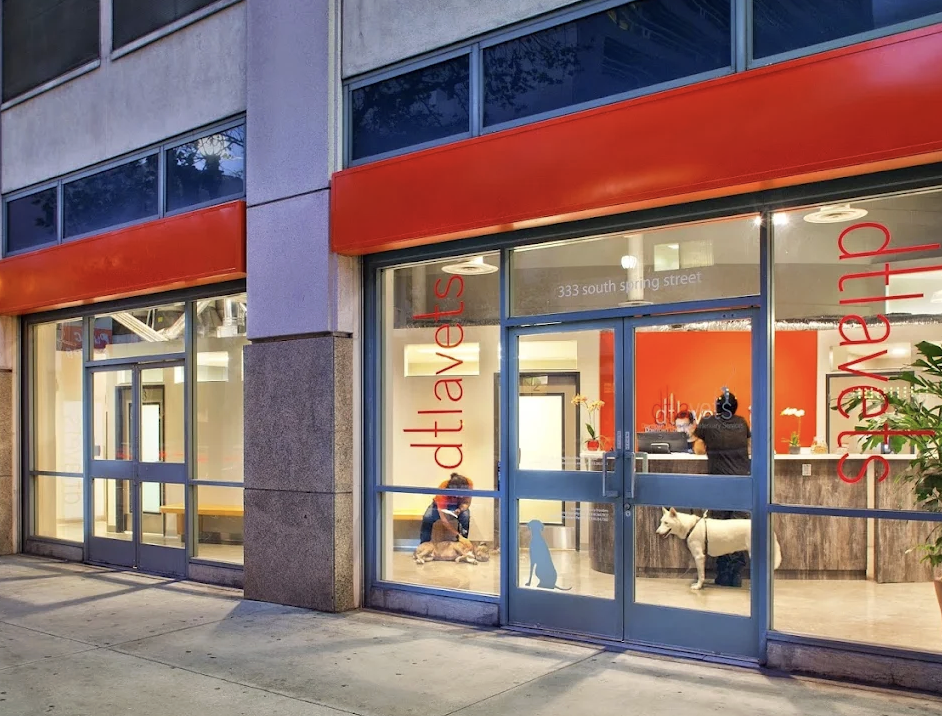 Downtown Los Angeles Veterinary Service photo