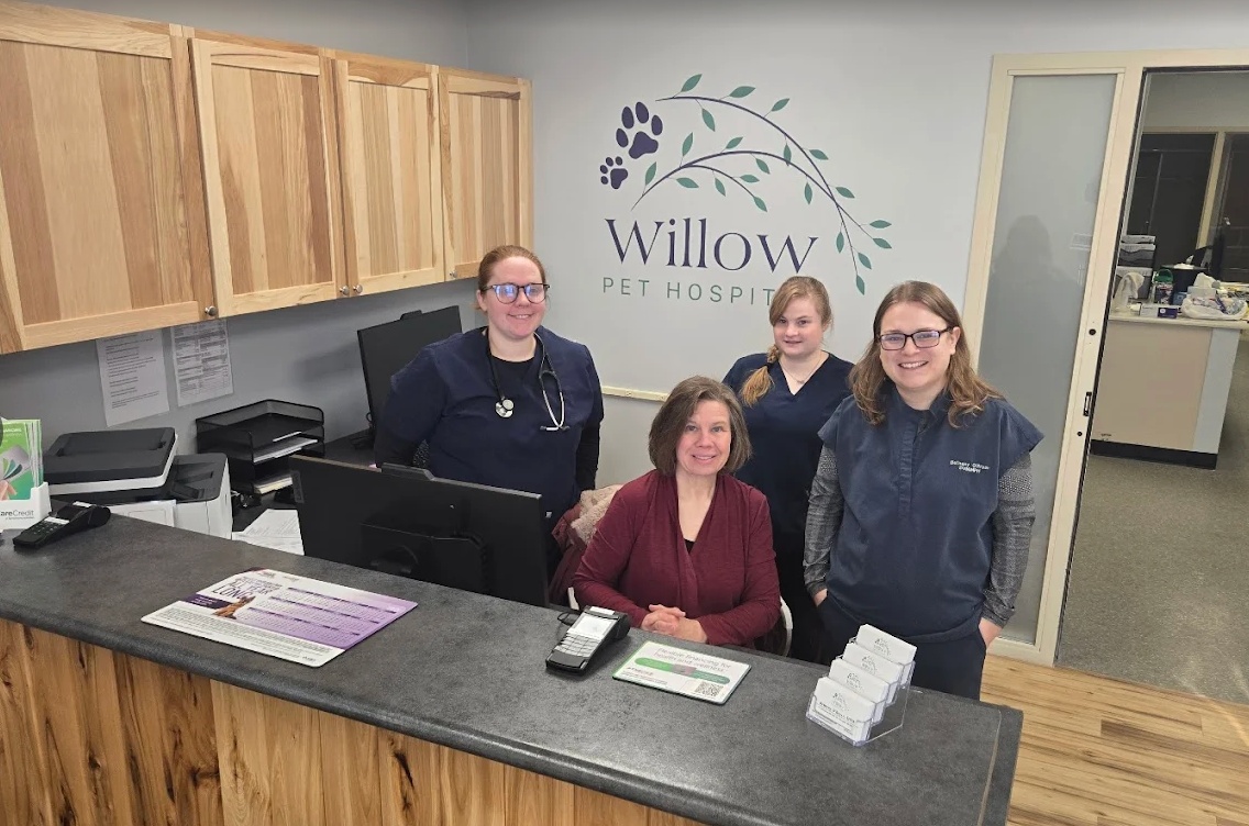 Willow Pet Hospital -Rochester photo