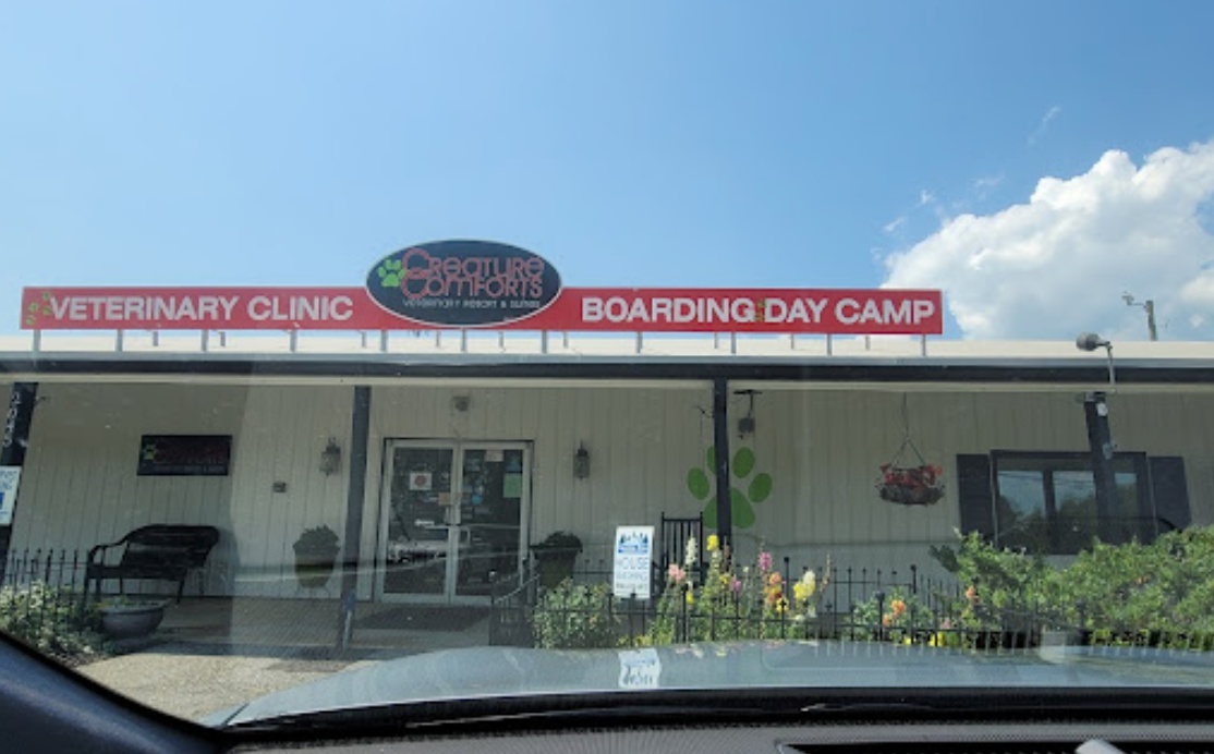 Creature Comforts Veterinary Resort and Suites photo