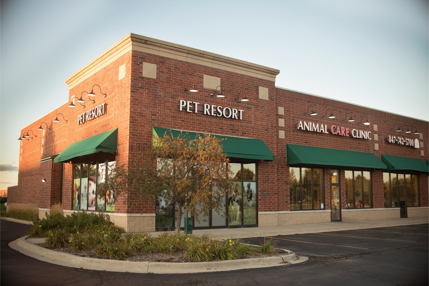 Animal Care Clinic of Randall Pointe photo