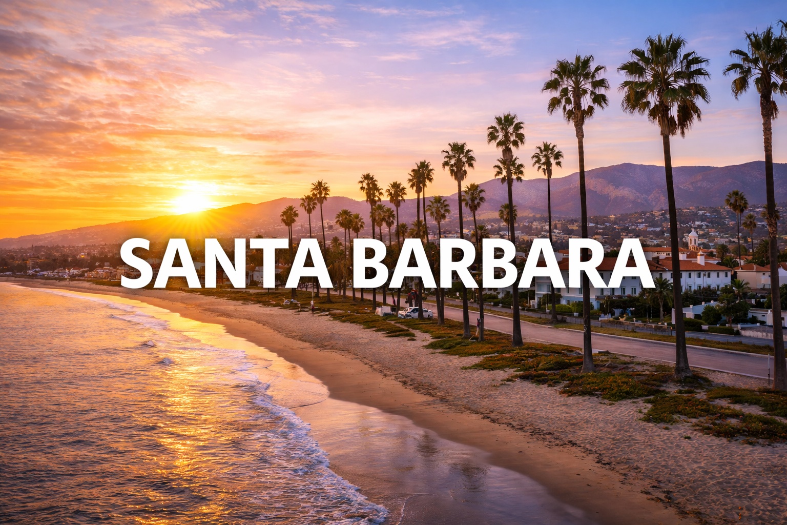 The Vet Service – Santa Barbara Metro photo
