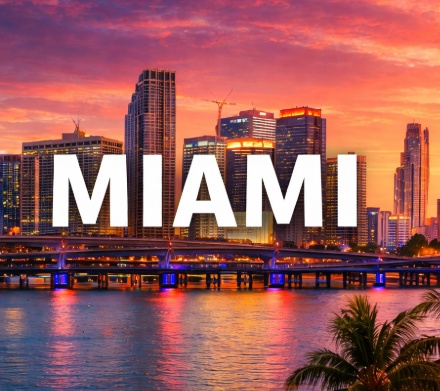 The Vet Service – Miami, Florida photo