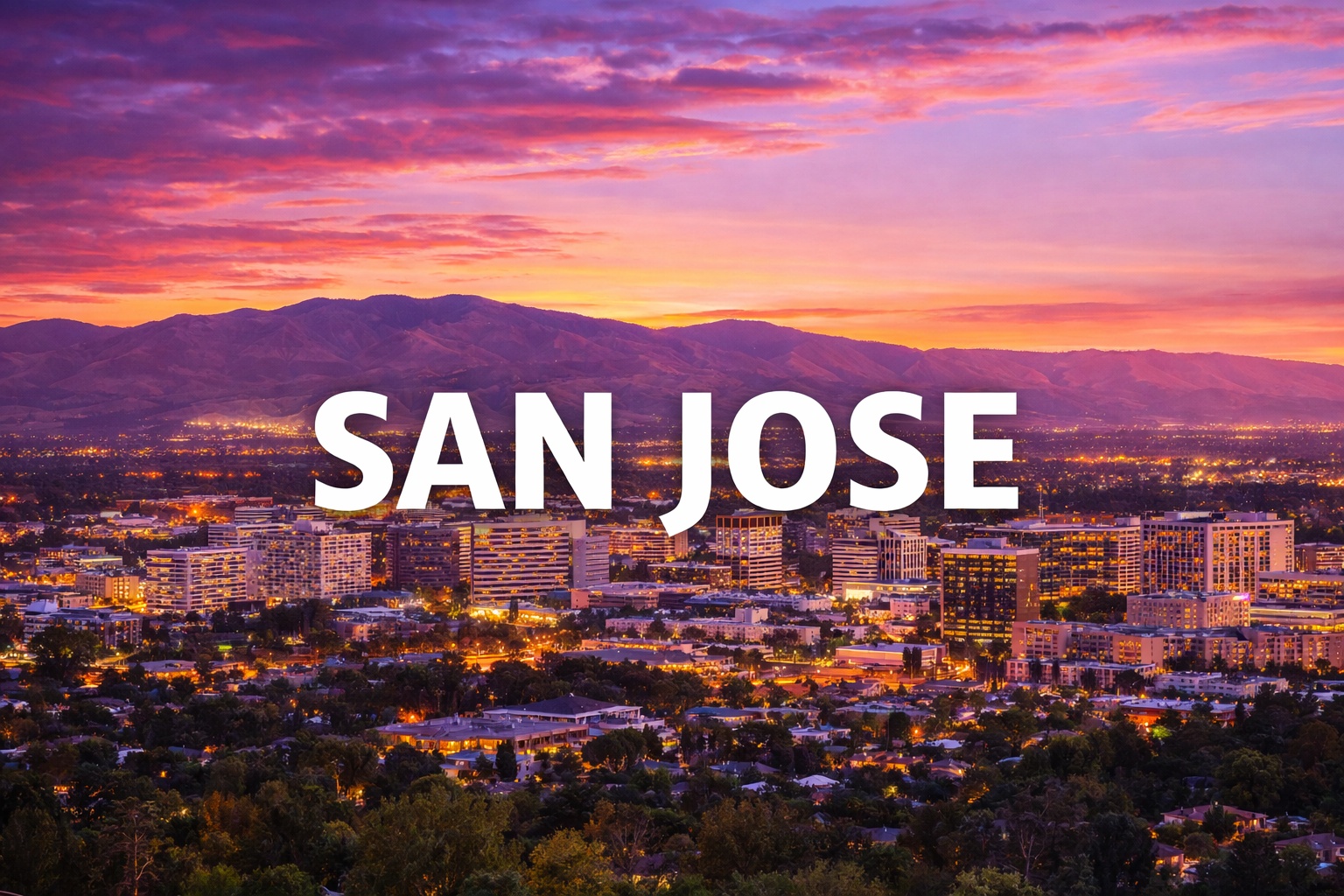 The Vet Service – San Jose Metro photo