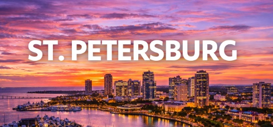 The Vet Service – St. Petersburg Metro photo