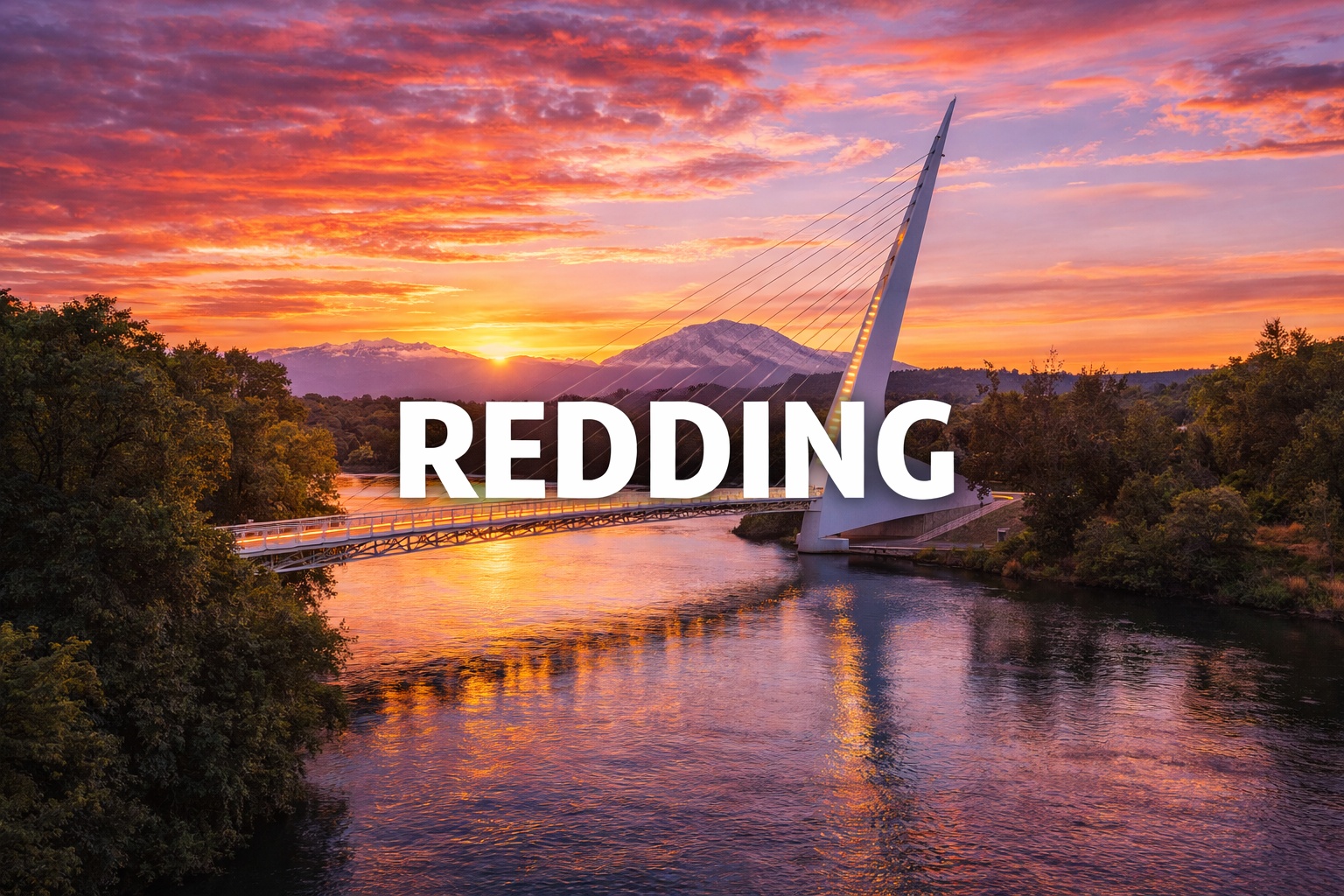 The Vet Service – Redding Metro photo