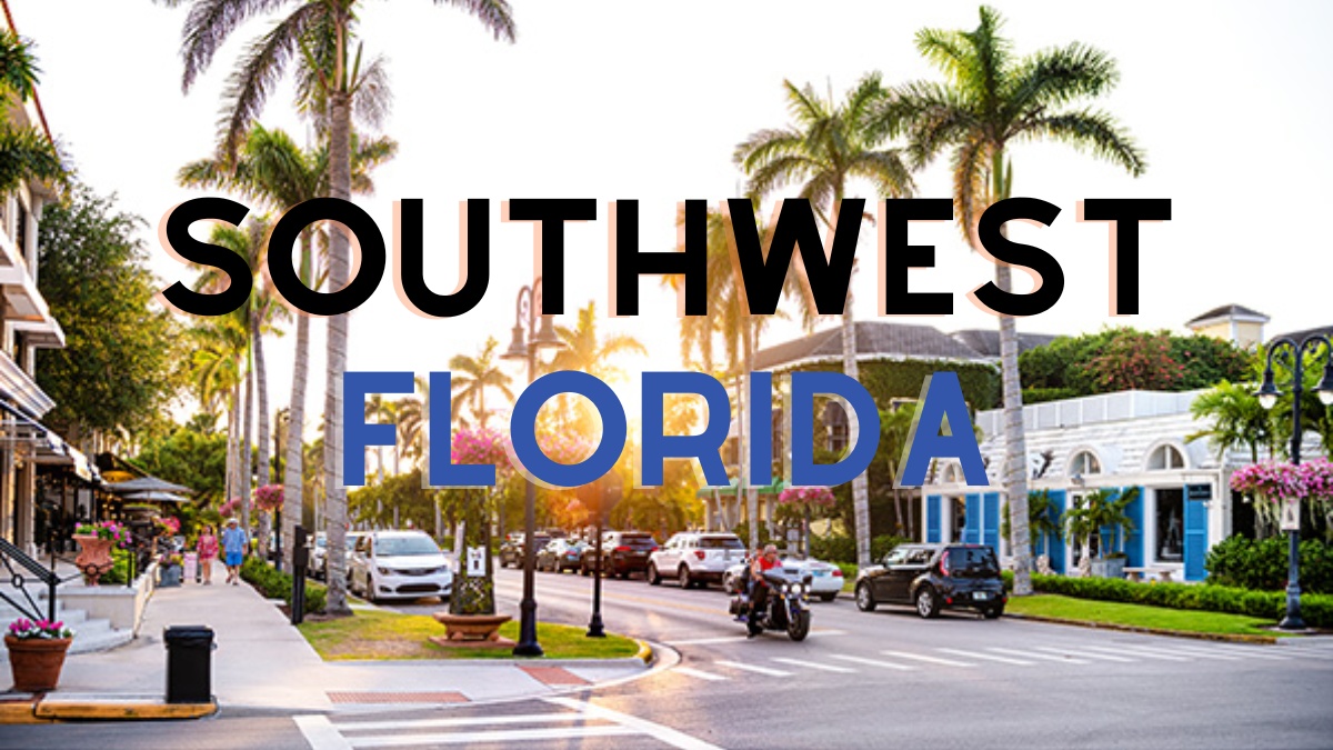 The Vet Service – Southwest Florida Veterinary Jobs photo