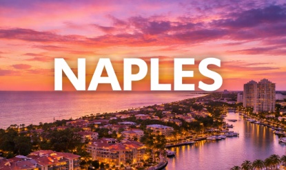 The Vet Service – Naples Metro photo