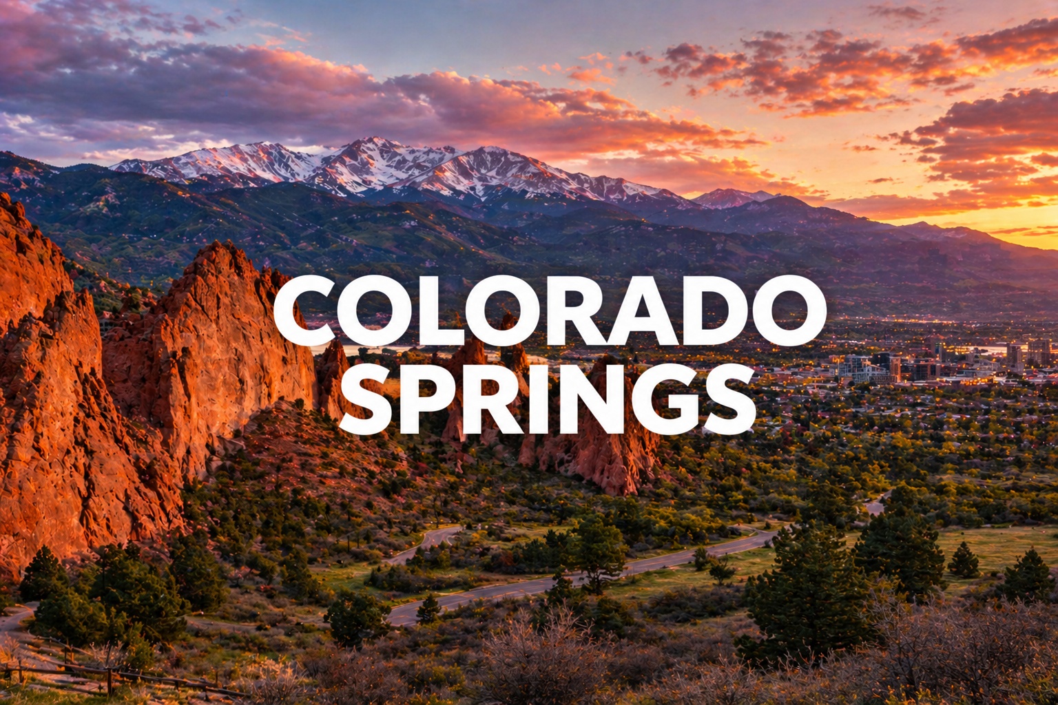 The Vet Service – Colorado Springs Metro photo