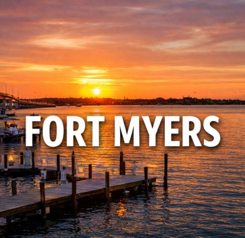 The Vet Service – Fort Myers, Florida photo