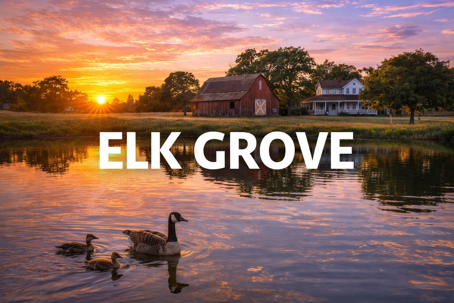 The Vet Service – Elk Grove Metro photo