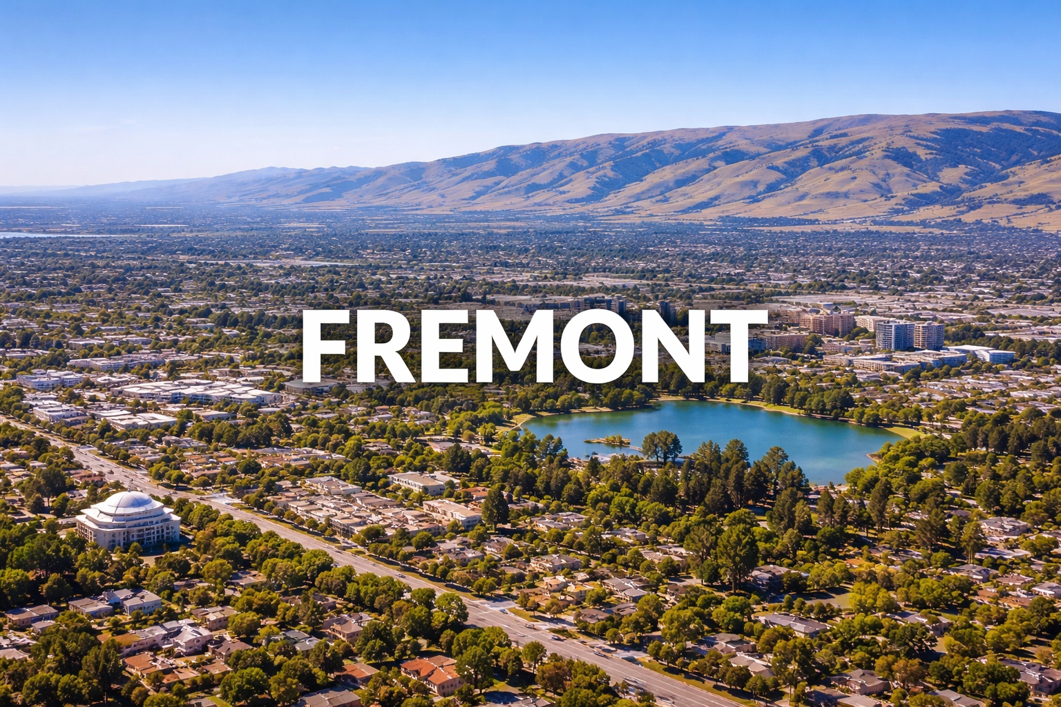 The Vet Service – Fremont Metro photo