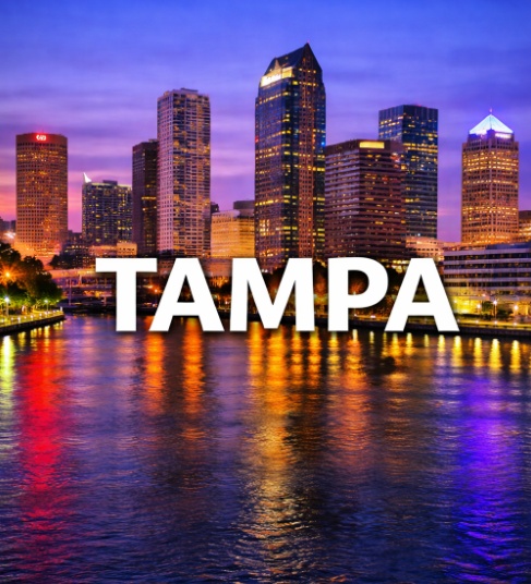 The Vet Service – Tampa, Florida photo