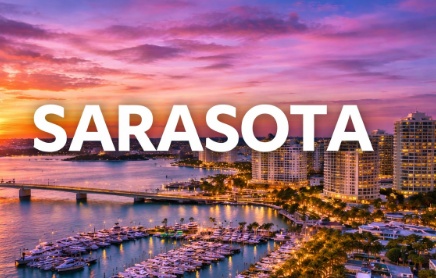 The Vet Service – Sarasota Metro photo
