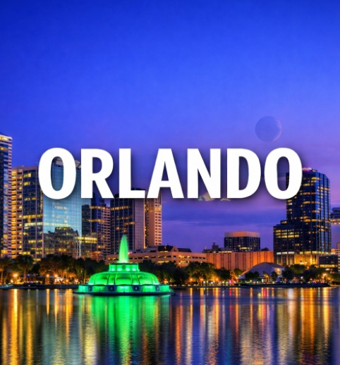 The Vet Service – Orlando, Florida photo