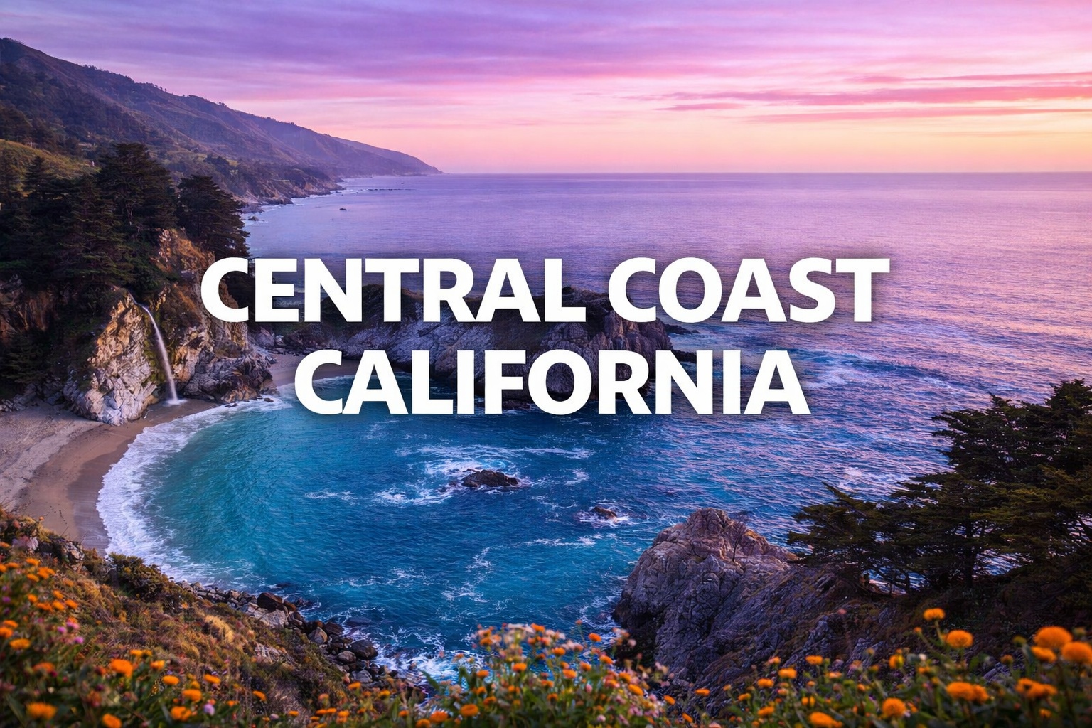 The Vet Service – Central Coast California photo