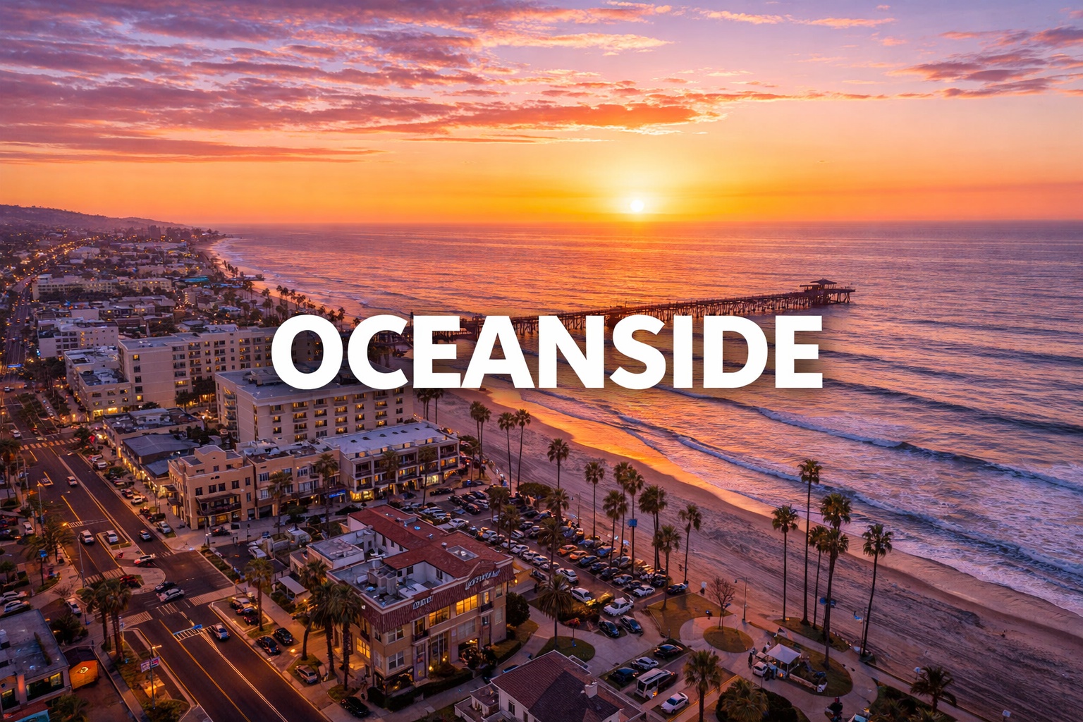 The Vet Service – Oceanside Metro photo