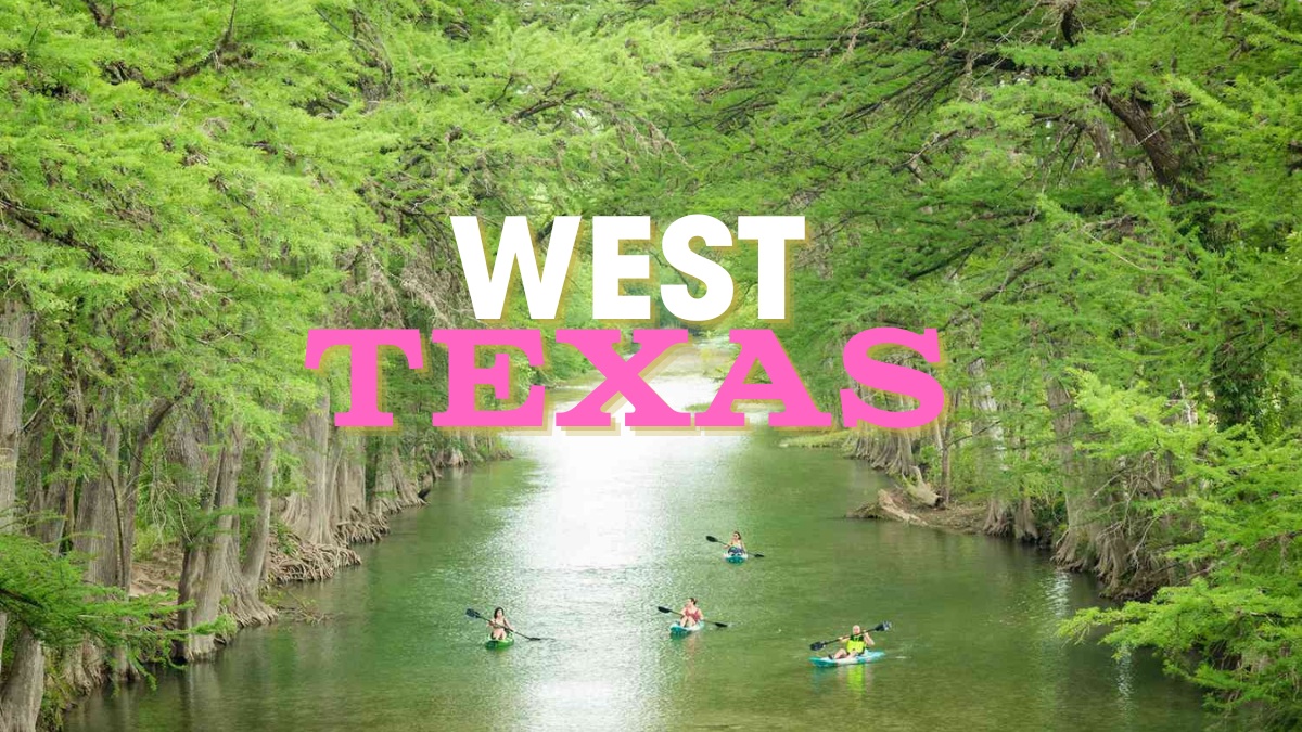 The Vet Service – West Texas photo