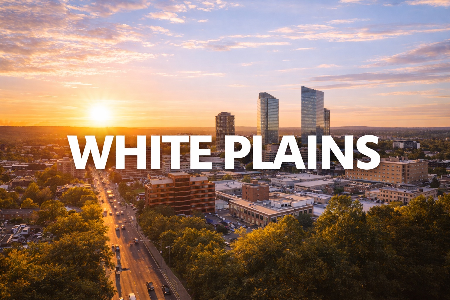 The Vet Service – White Plains Metro photo