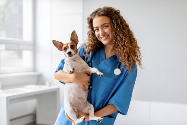 The Vet Service – Florida photo