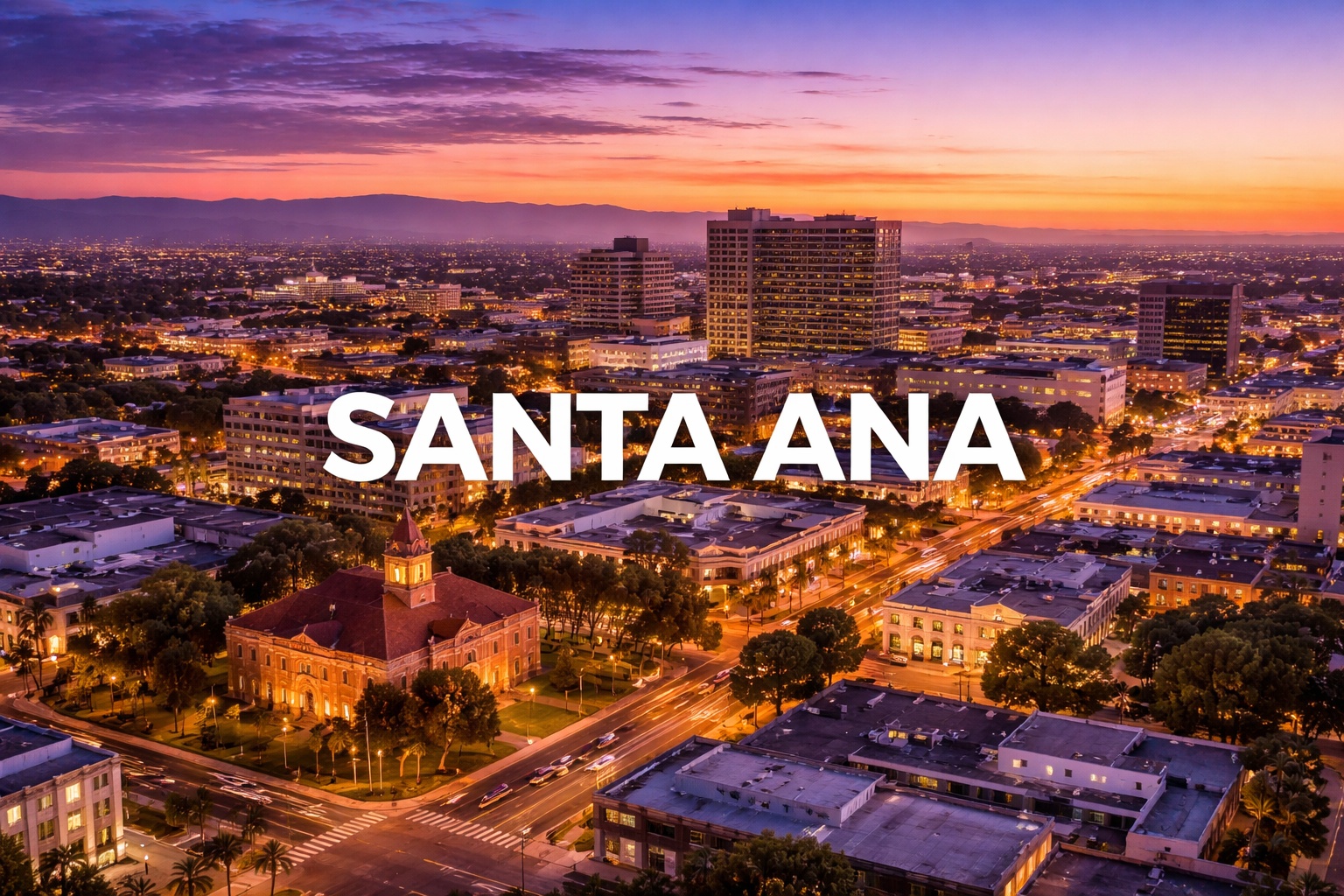 The Vet Service – Santa Ana Metro photo