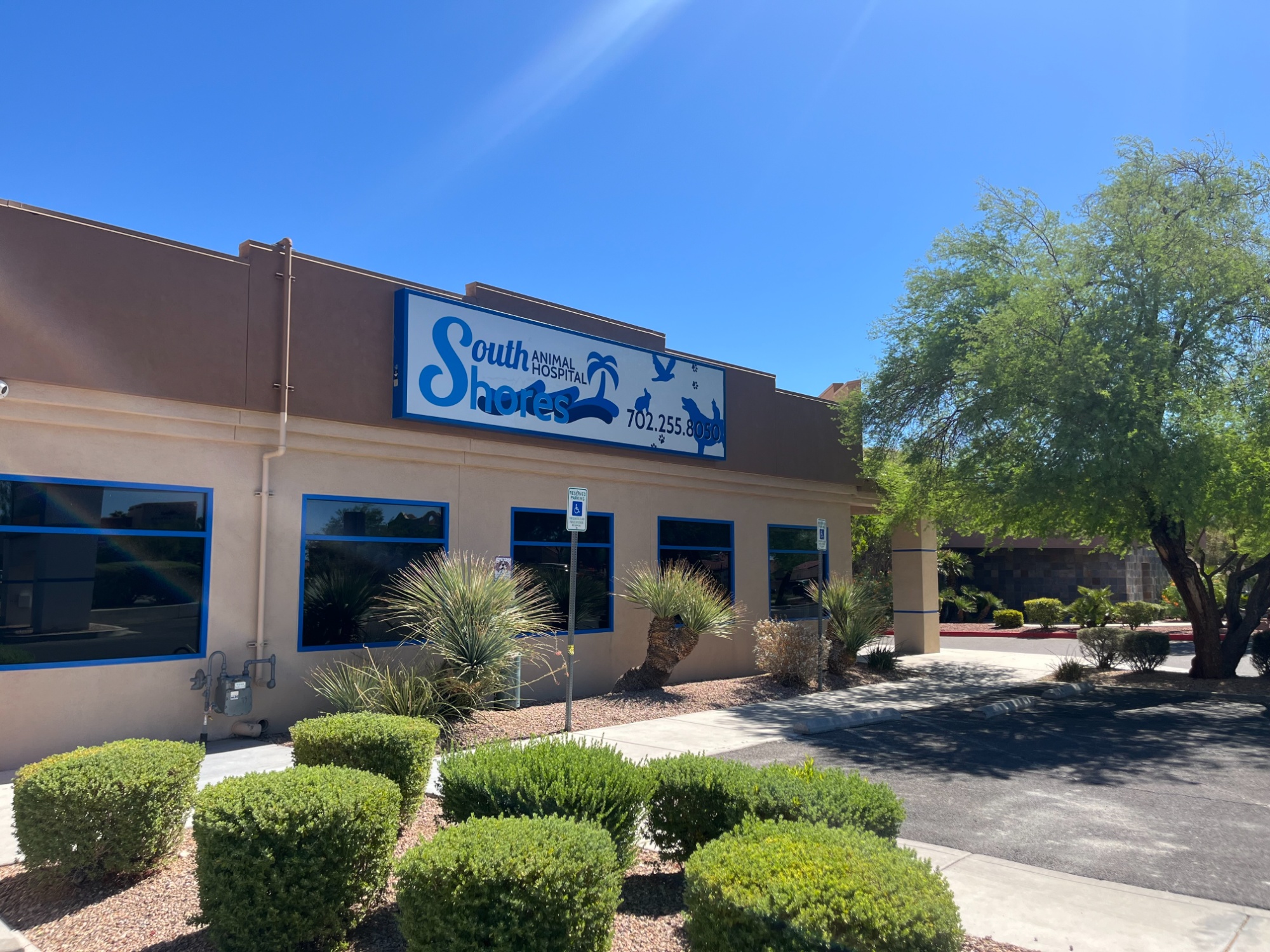 South Shores Animal Hospital photo