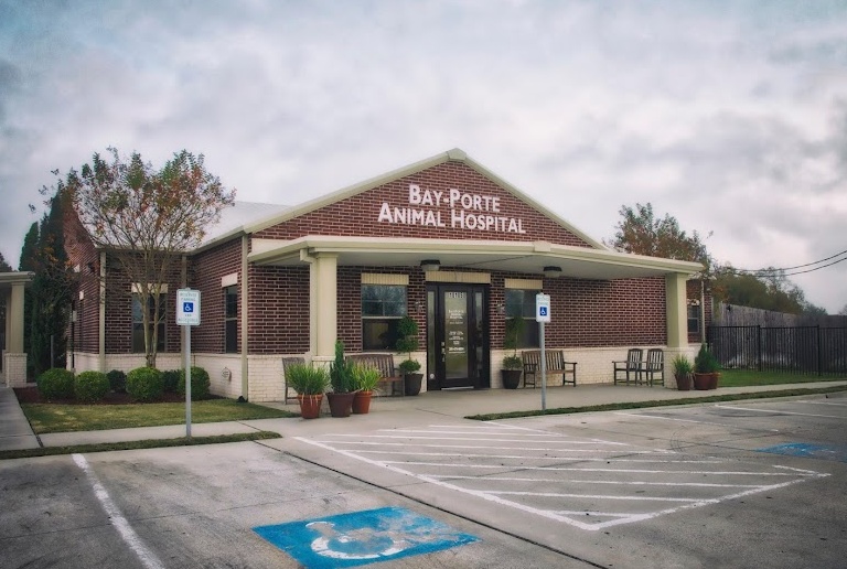 Bay-Porte Animal Hospital photo