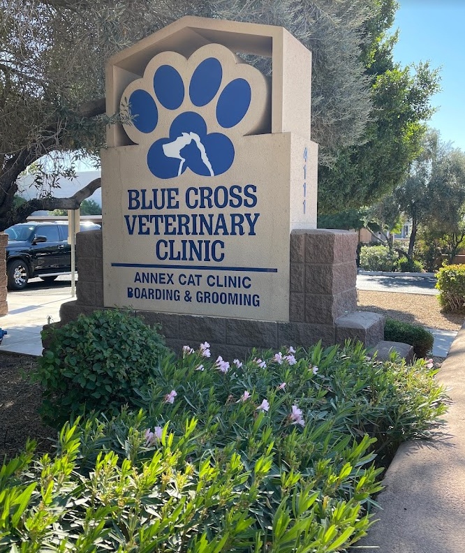 Blue Cross Veterinary Clinic photo