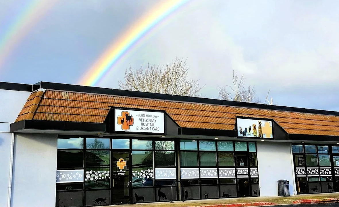 Echo Hollow Veterinary Hospital and Urgent Care photo