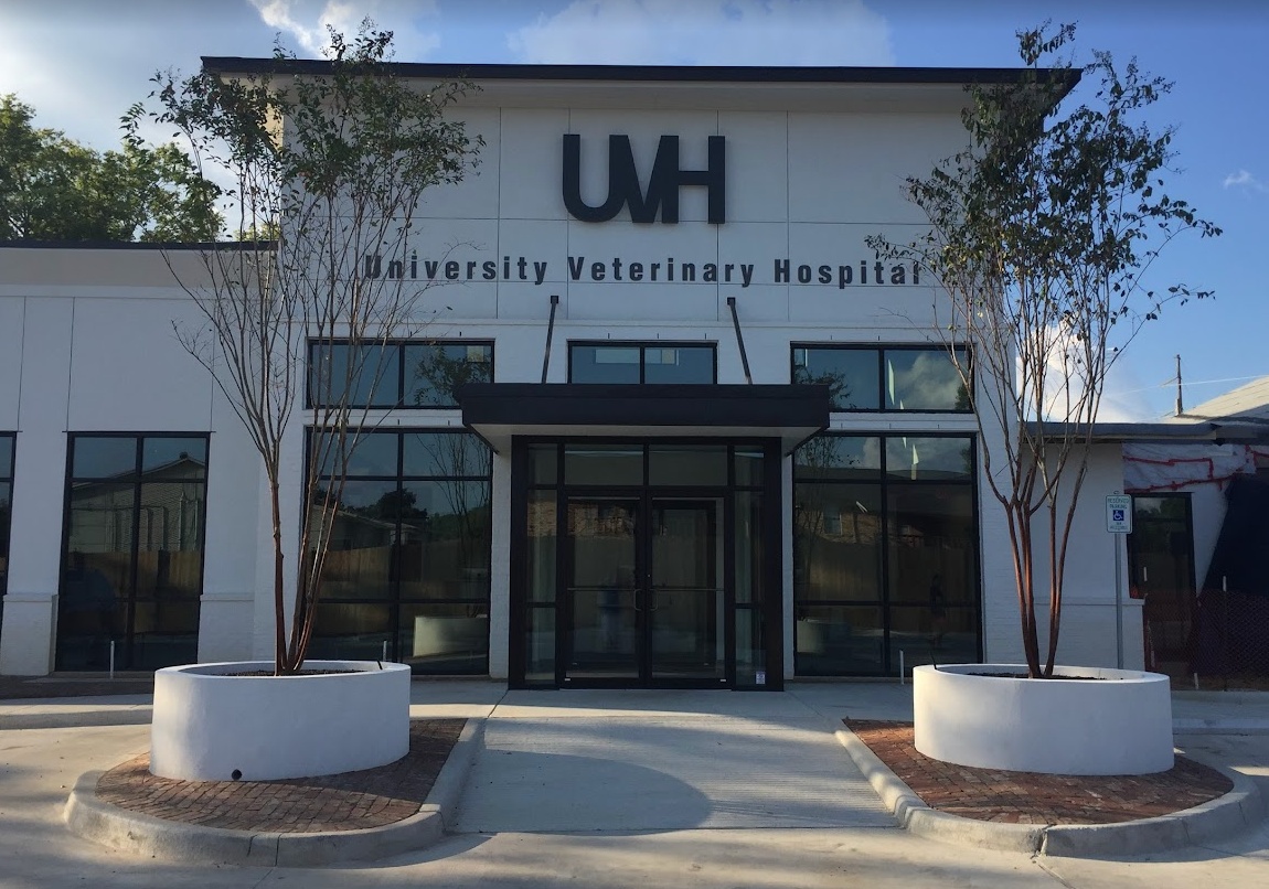 University Veterinary Hospital photo